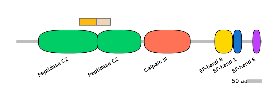 HsaINT0027475-EXC