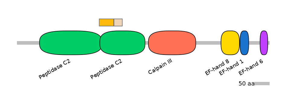 HsaINT0027476-EXC