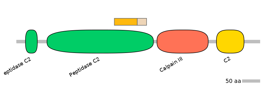 HsaINT0027497-EXC