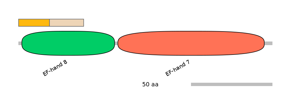 HsaINT0027535-EXC