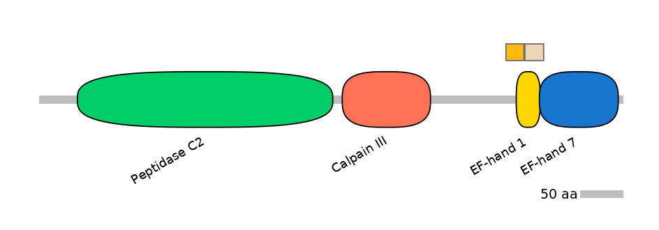 HsaINT0027536-EXC