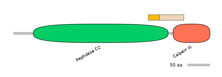 HsaINT0027547-EXC