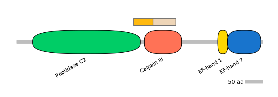 HsaINT0027548-EXC