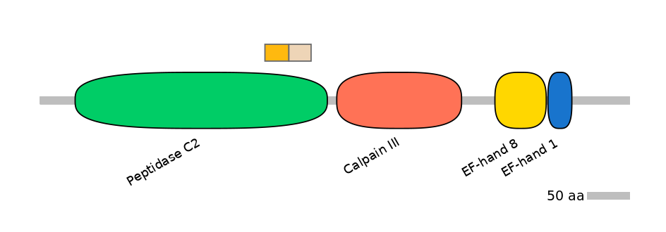 HsaINT0027549-EXC