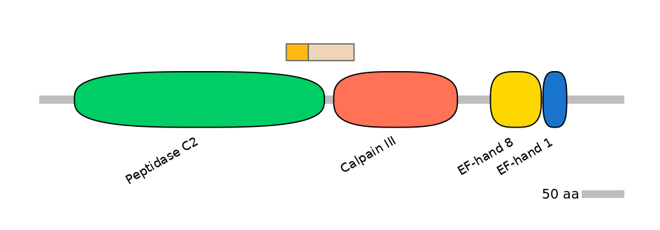 HsaINT0027550-EXC