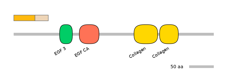 HsaINT0028651-EXC