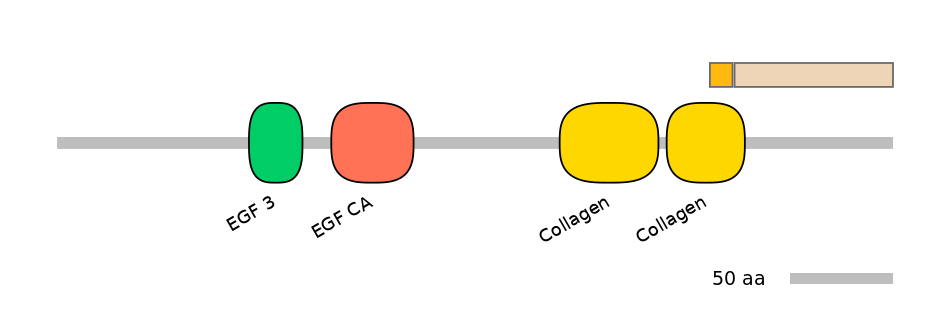 HsaINT0028652-EXC