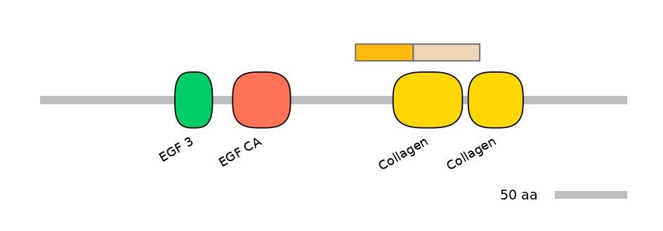 HsaINT0028658-EXC