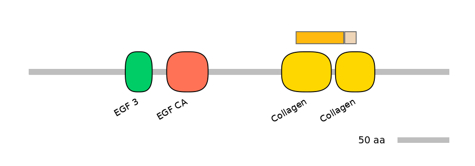 HsaINT0028659-EXC