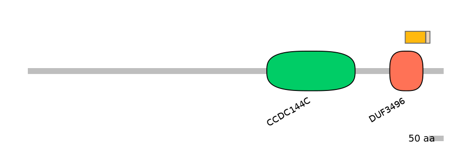 HsaINT0029090-EXC