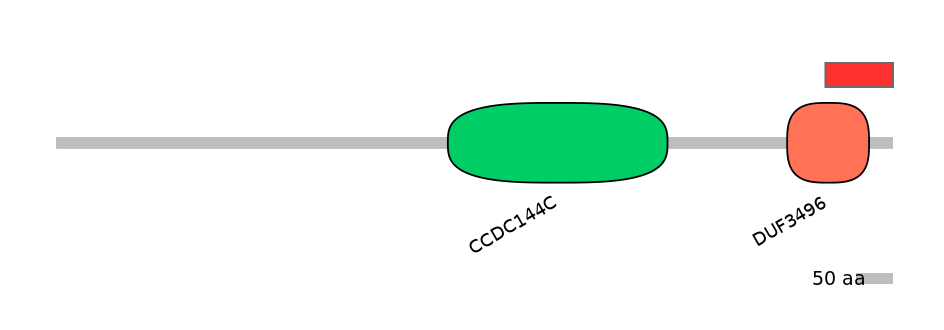 HsaINT0029090-INC
