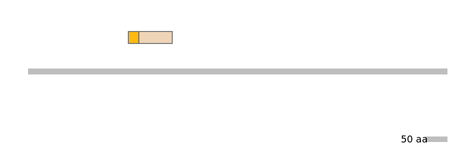 HsaINT0029145-EXC