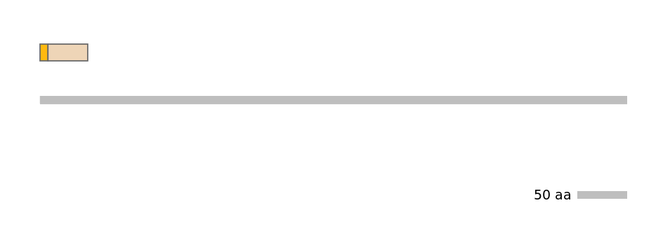 HsaINT0029172-EXC