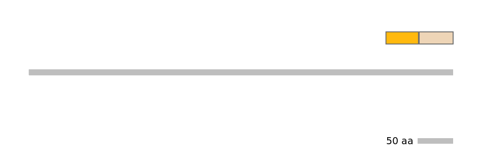 HsaINT0029176-EXC
