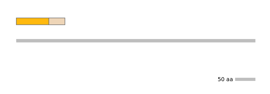 HsaINT0029234-EXC