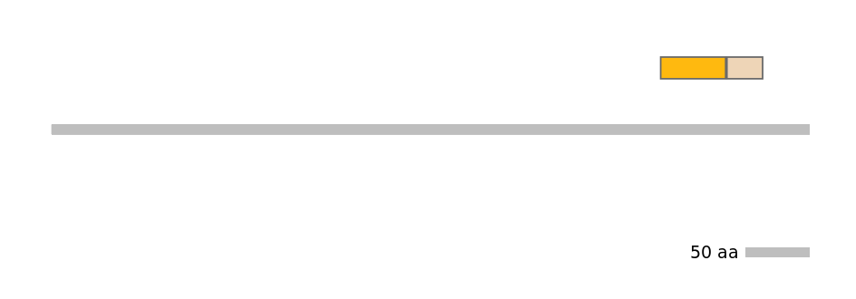 HsaINT0029236-EXC
