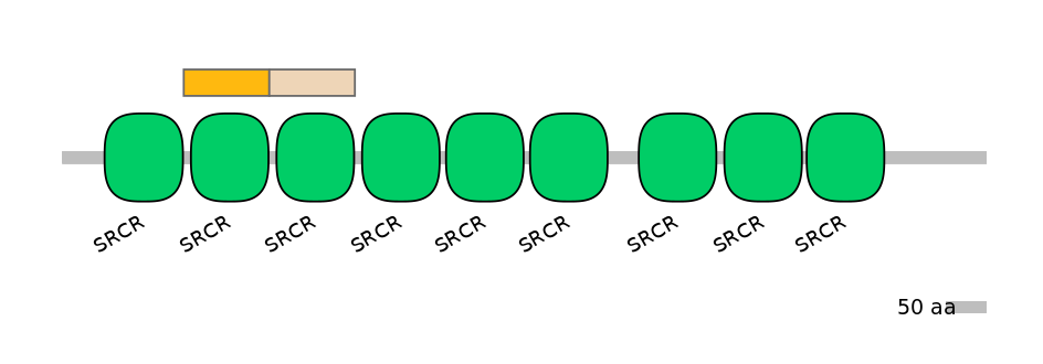 HsaINT0030809-EXC