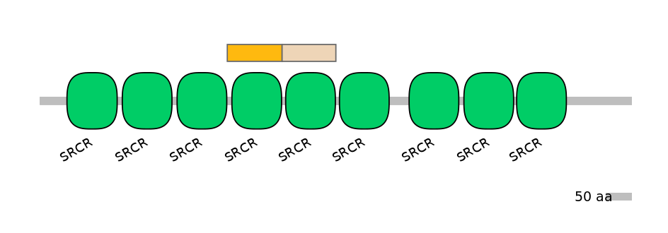 HsaINT0030811-EXC