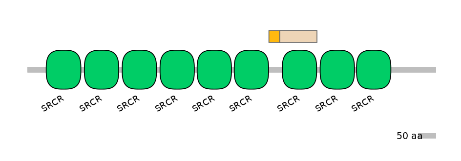 HsaINT0030814-EXC
