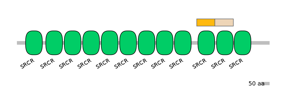 HsaINT0030819-EXC