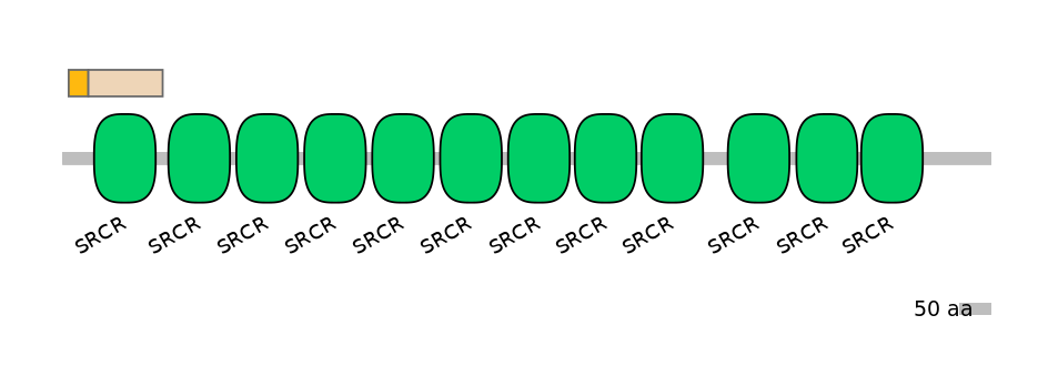 HsaINT0030826-EXC