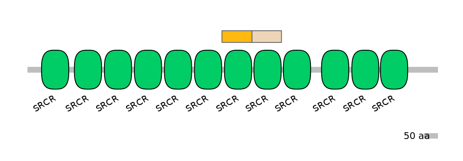HsaINT0030833-EXC