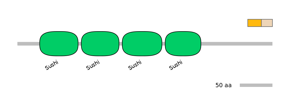 HsaINT0031152-EXC