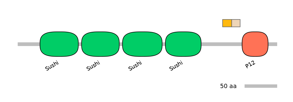 HsaINT0031157-EXC