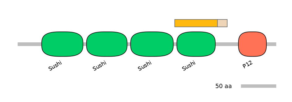 HsaINT0031160-EXC