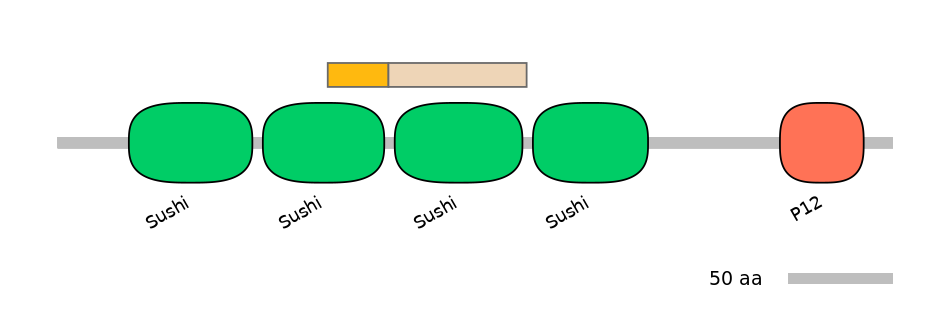 HsaINT0031164-EXC