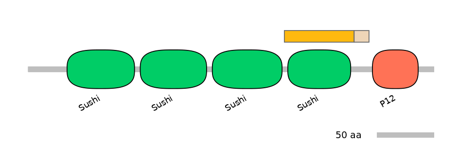 HsaINT0031166-EXC