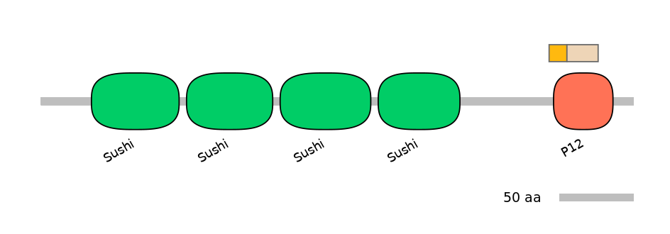 HsaINT0031168-EXC
