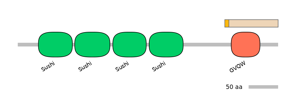 HsaINT0031211-EXC