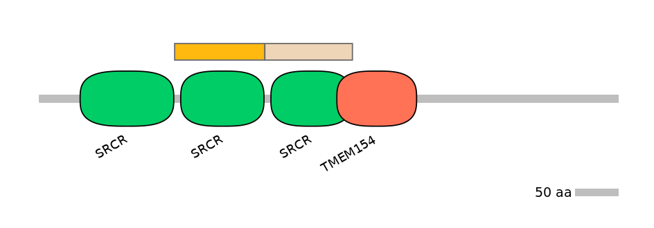 HsaINT0031233-EXC