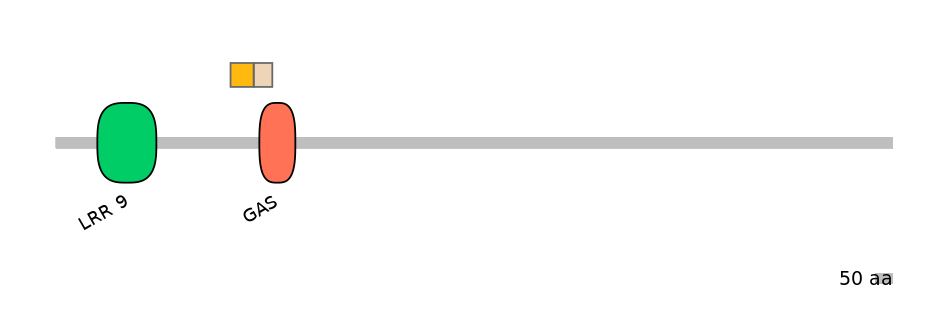 HsaINT0033486-EXC