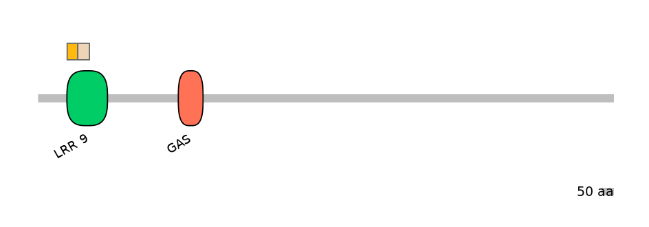 HsaINT0033507-EXC