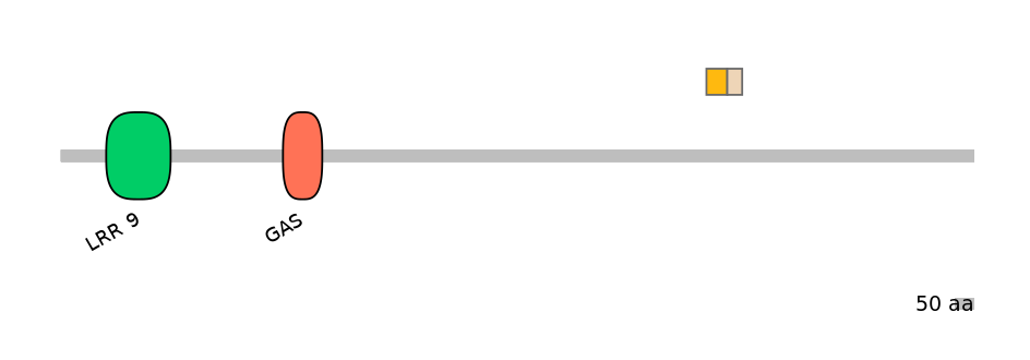 HsaINT0033508-EXC