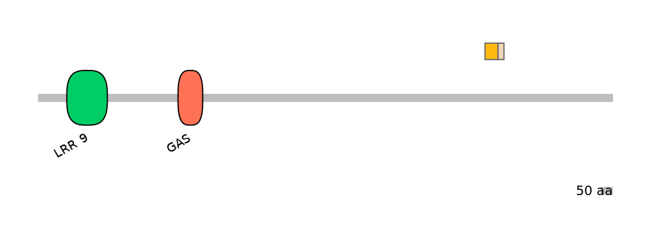 HsaINT0033511-EXC