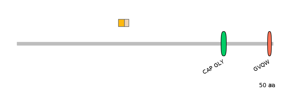 HsaINT0033791-EXC
