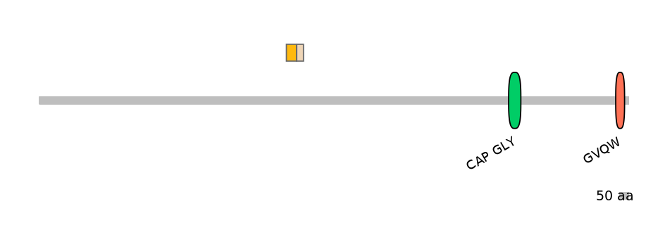 HsaINT0033792-EXC