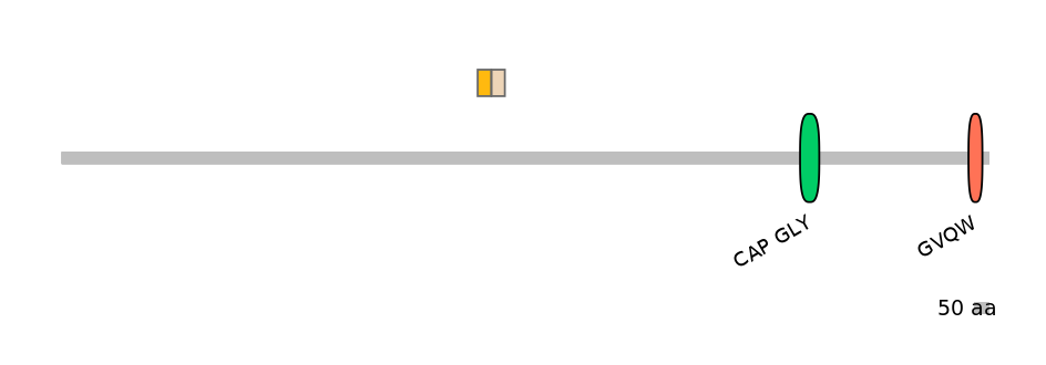 HsaINT0033794-EXC