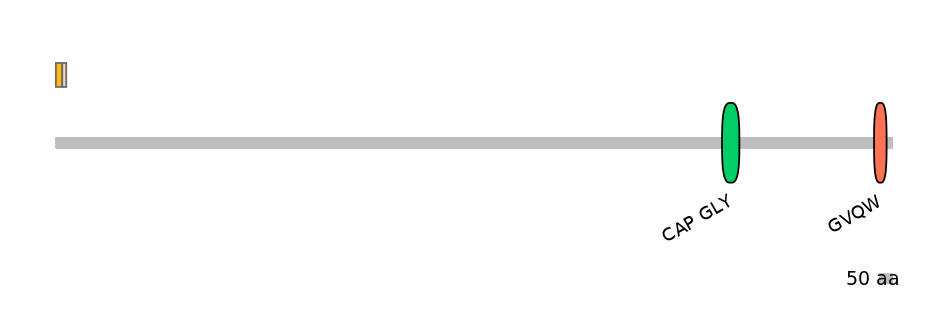 HsaINT0033795-EXC