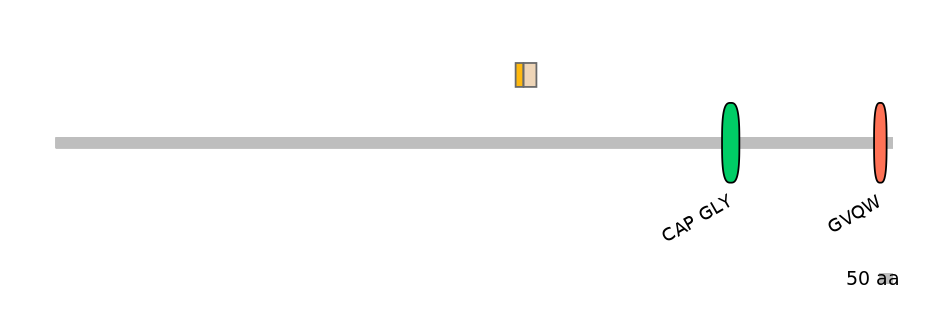HsaINT0033801-EXC