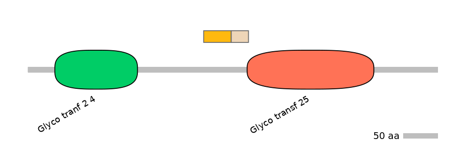 HsaINT0033961-EXC