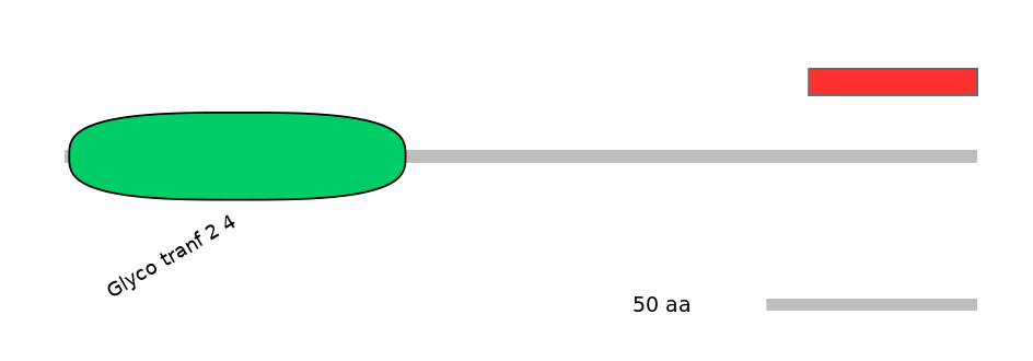 HsaINT0033961-INC