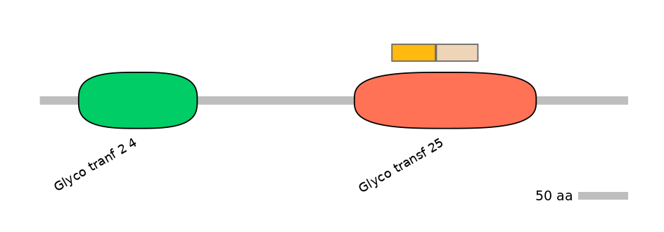 HsaINT0033964-EXC