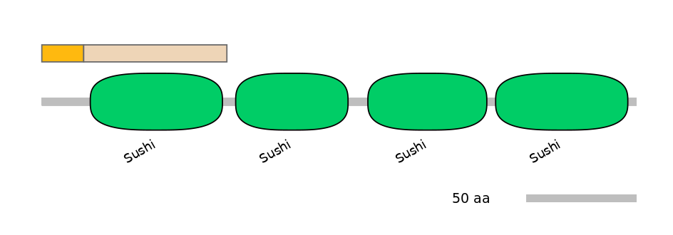 HsaINT0034145-EXC