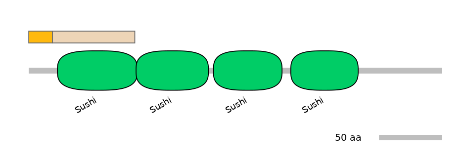 HsaINT0034155-EXC