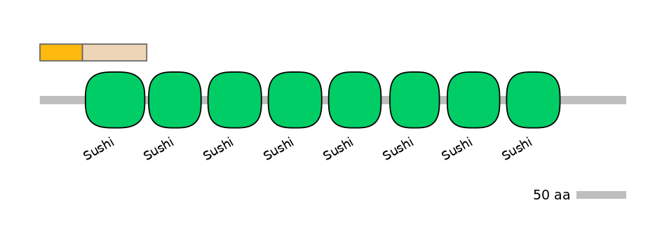 HsaINT0034159-EXC