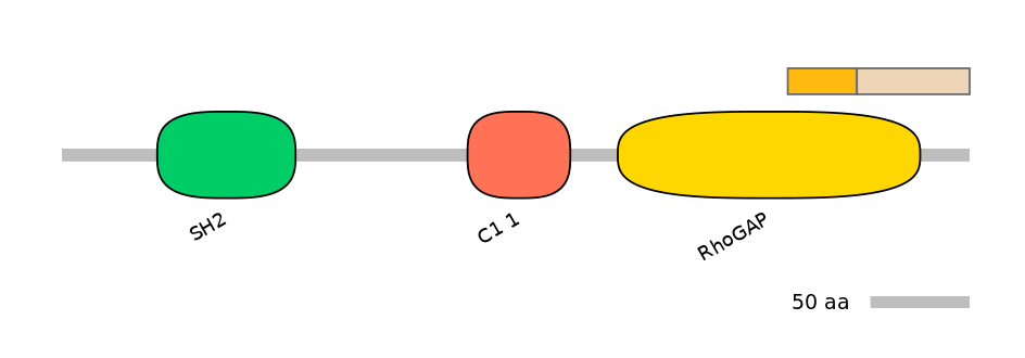 HsaINT0035035-EXC